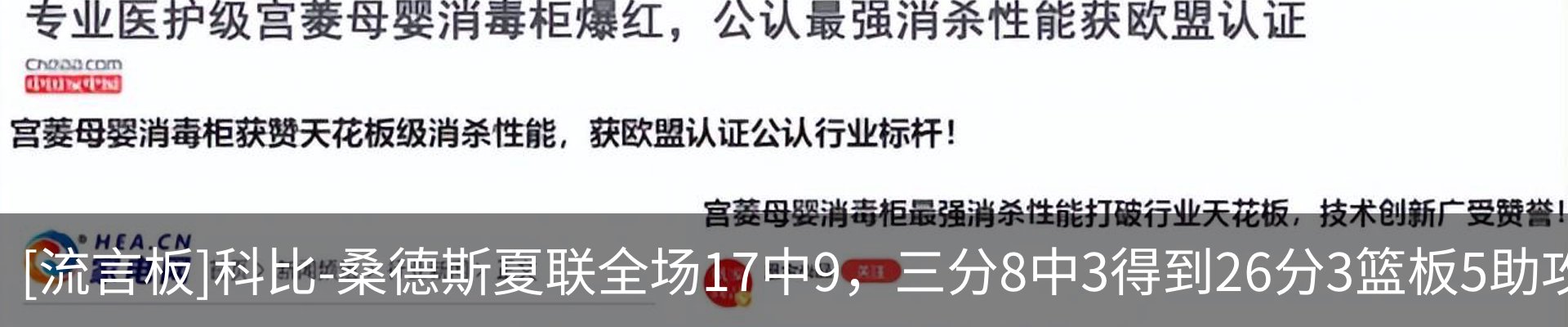 最新动态